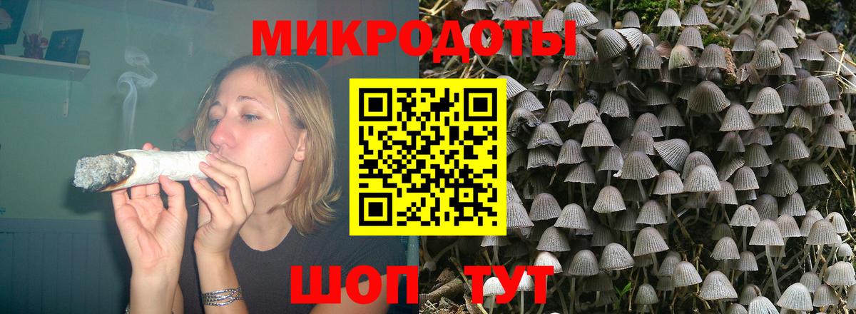 Псилоцибиновые грибы Psilocybine cubensis Приморско-Ахтарск