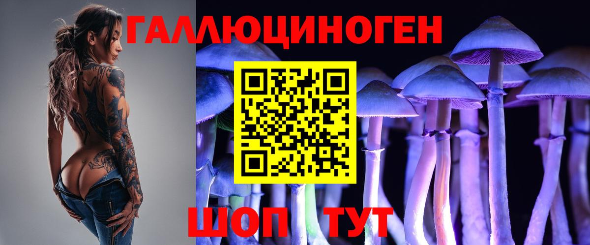 Галлюциногенные грибы Psilocybe  Галлюциногенные грибы мухоморы  Приморско-Ахтарск  Вход с VPN 